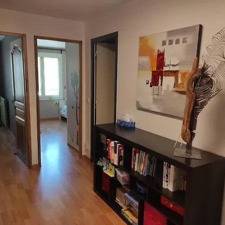 Duplex 100 M² Avec Jardin Appartement Chambéry