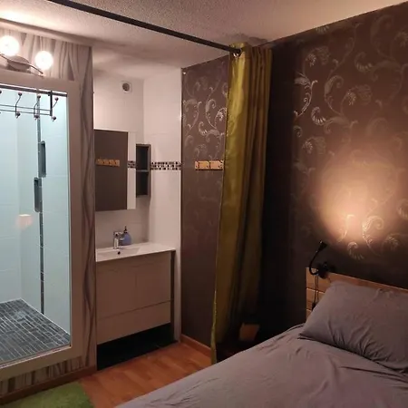 Duplex 100 M² Avec Jardin Appartement *